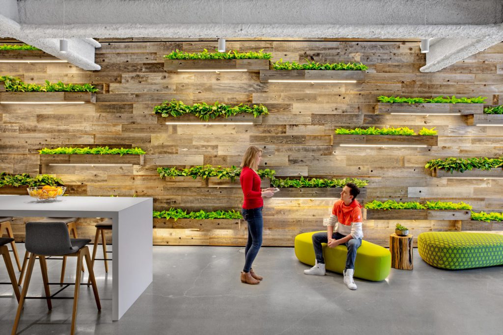 indoor green office space